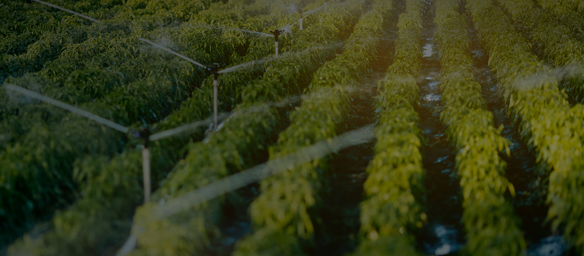 Tecnologia Co. de Alahot (zhejiang), Ltd.